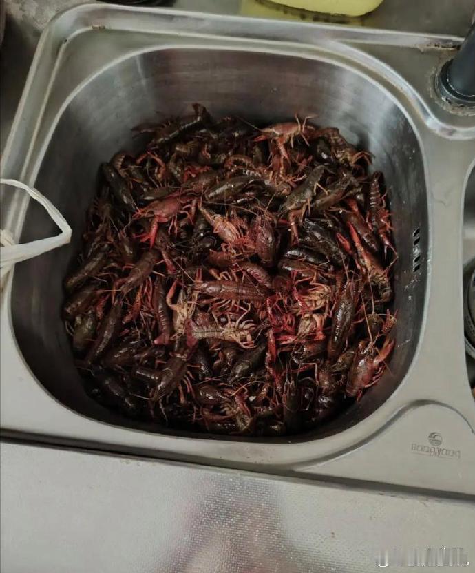 推荐大家购买现成的龙虾，自己洗龙虾耗时费力。 ​​​