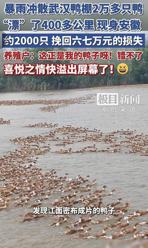 老板娘在车间巡查时，不慎摔了一个屁股蹲。

这事儿最近在职场圈子里传得挺多，好多