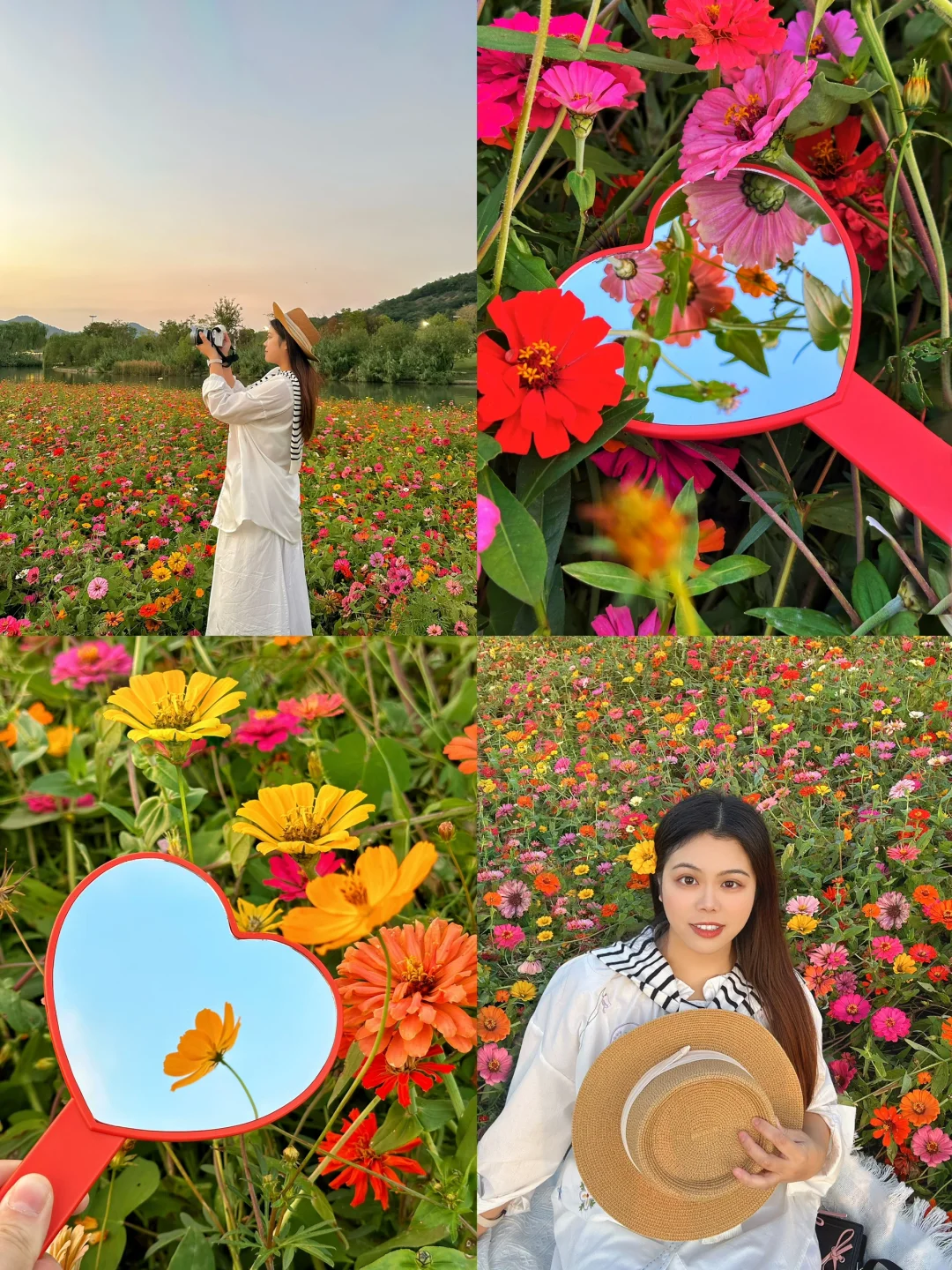 湘湖秋日限定❗️❗️闯进现实版莫奈花园💐