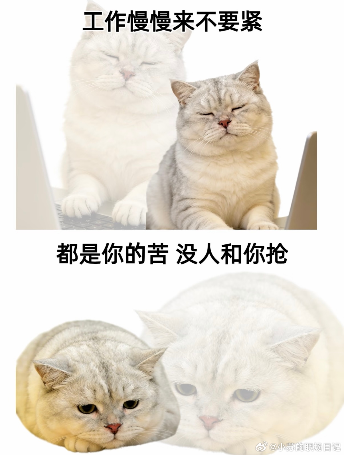 愚人节今天不想上班职场那些事儿 其实上对了班，愚人节每天都过愚人节为了防止大家被