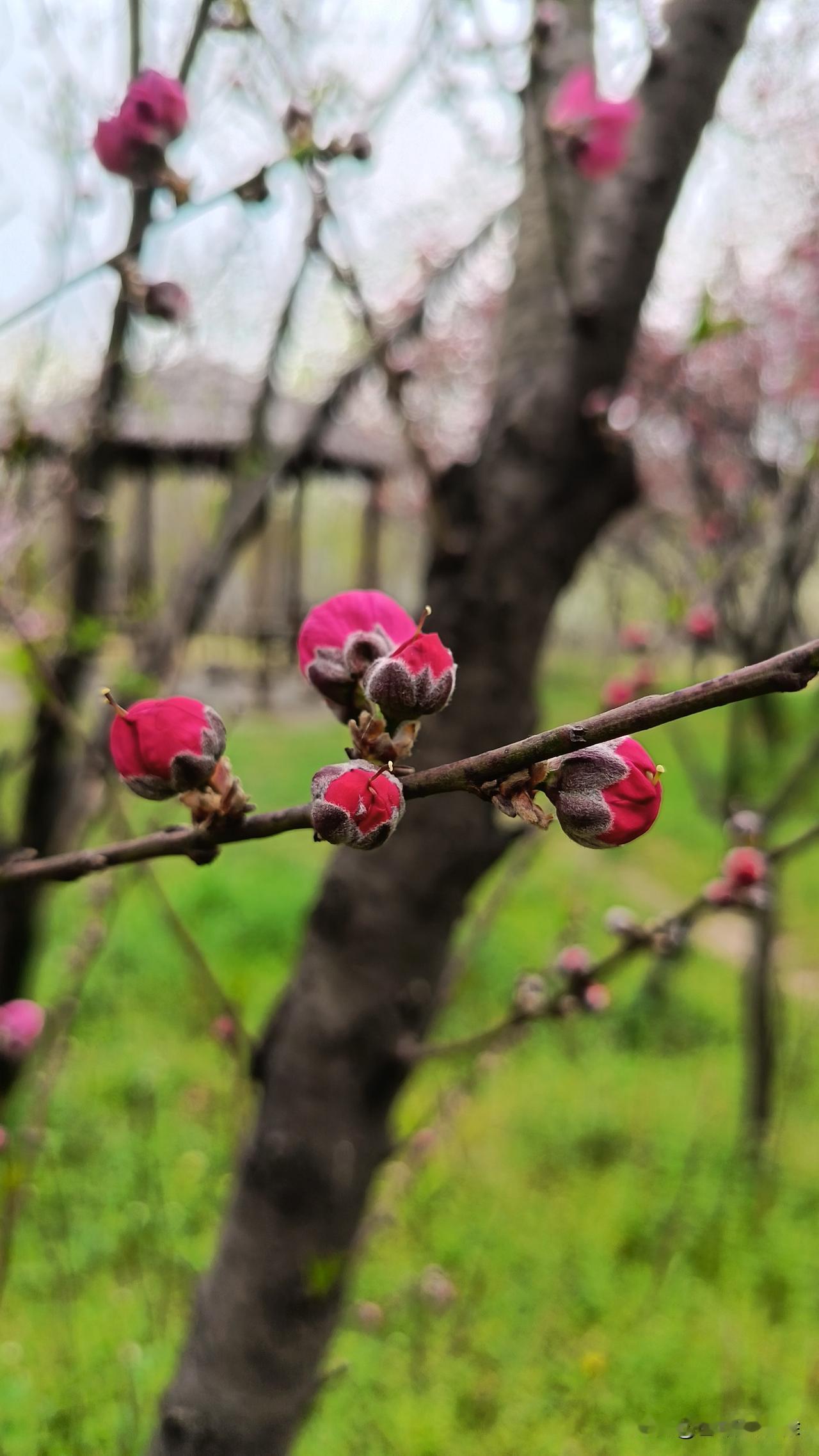 西式医疗通过驱动更多人的生存办法，建立起来一个相对封闭的群体壁垒，并且驱动经济利