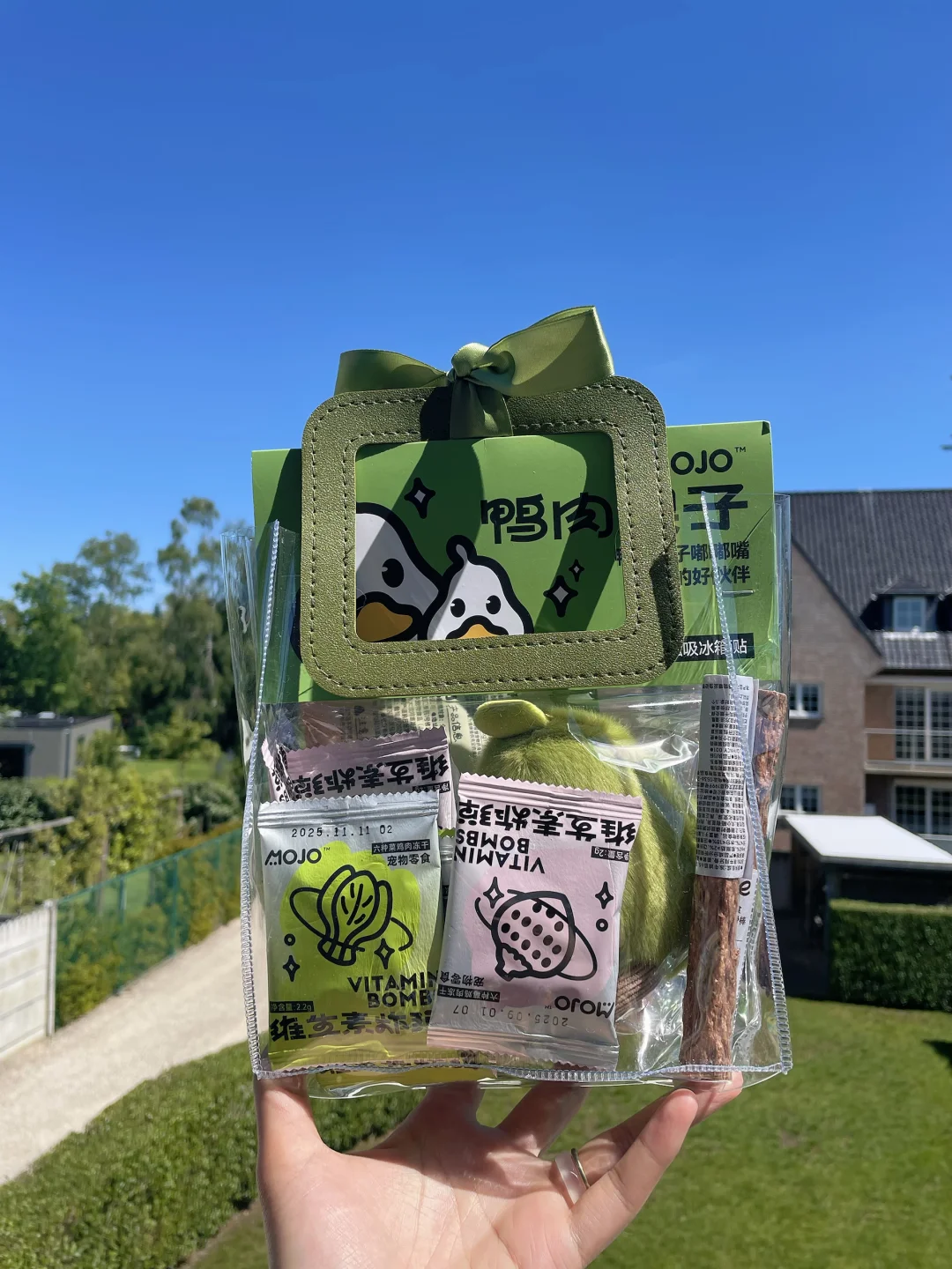 EcoPawPaw 宠物｜魔球功能性宠物零食冻干