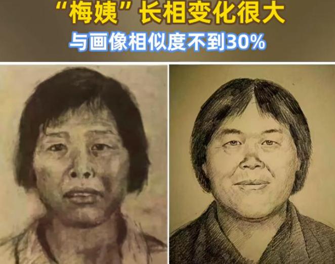 天道循环、报应不爽。
时隔23年，人贩子梅姨终于落网。

此次警方靠着相似度仅仅