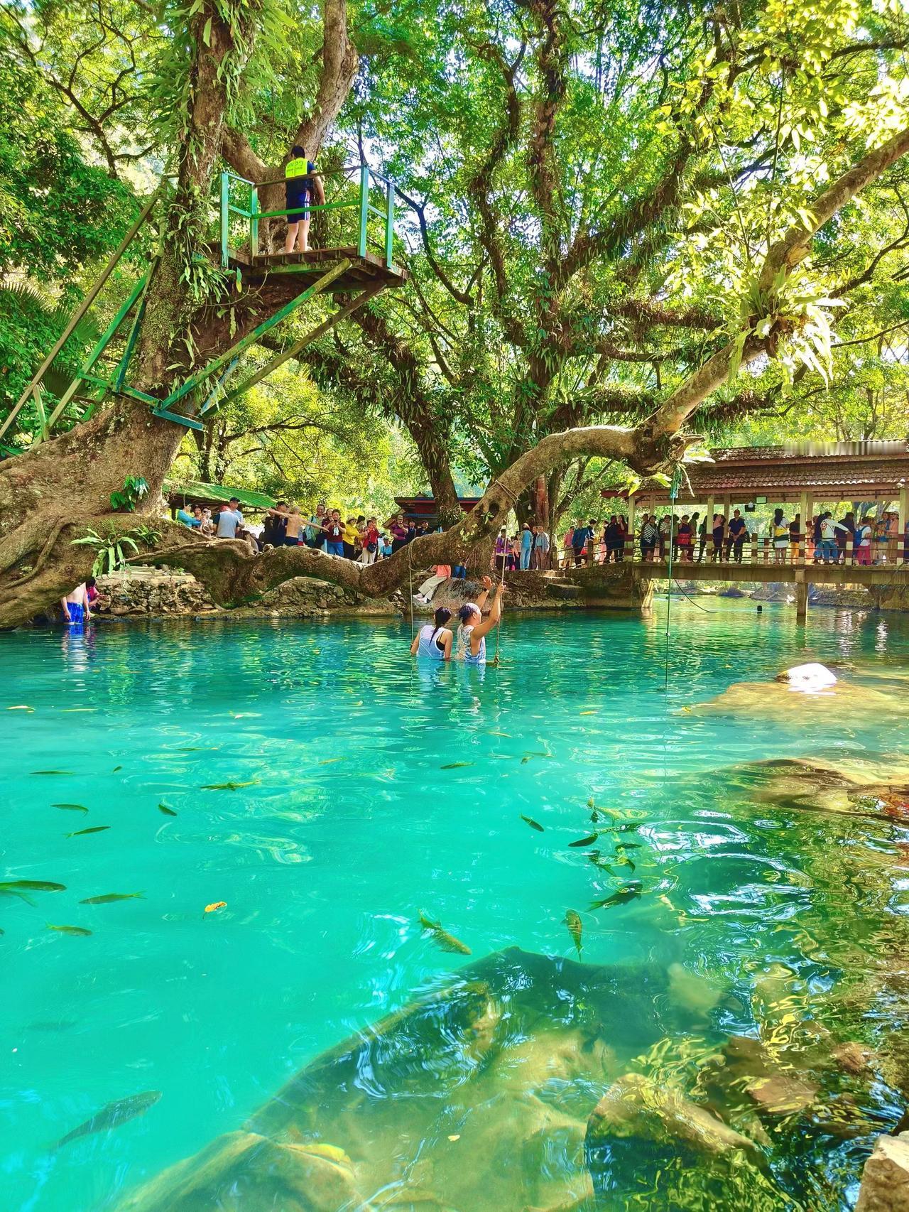 今年冬天的不同