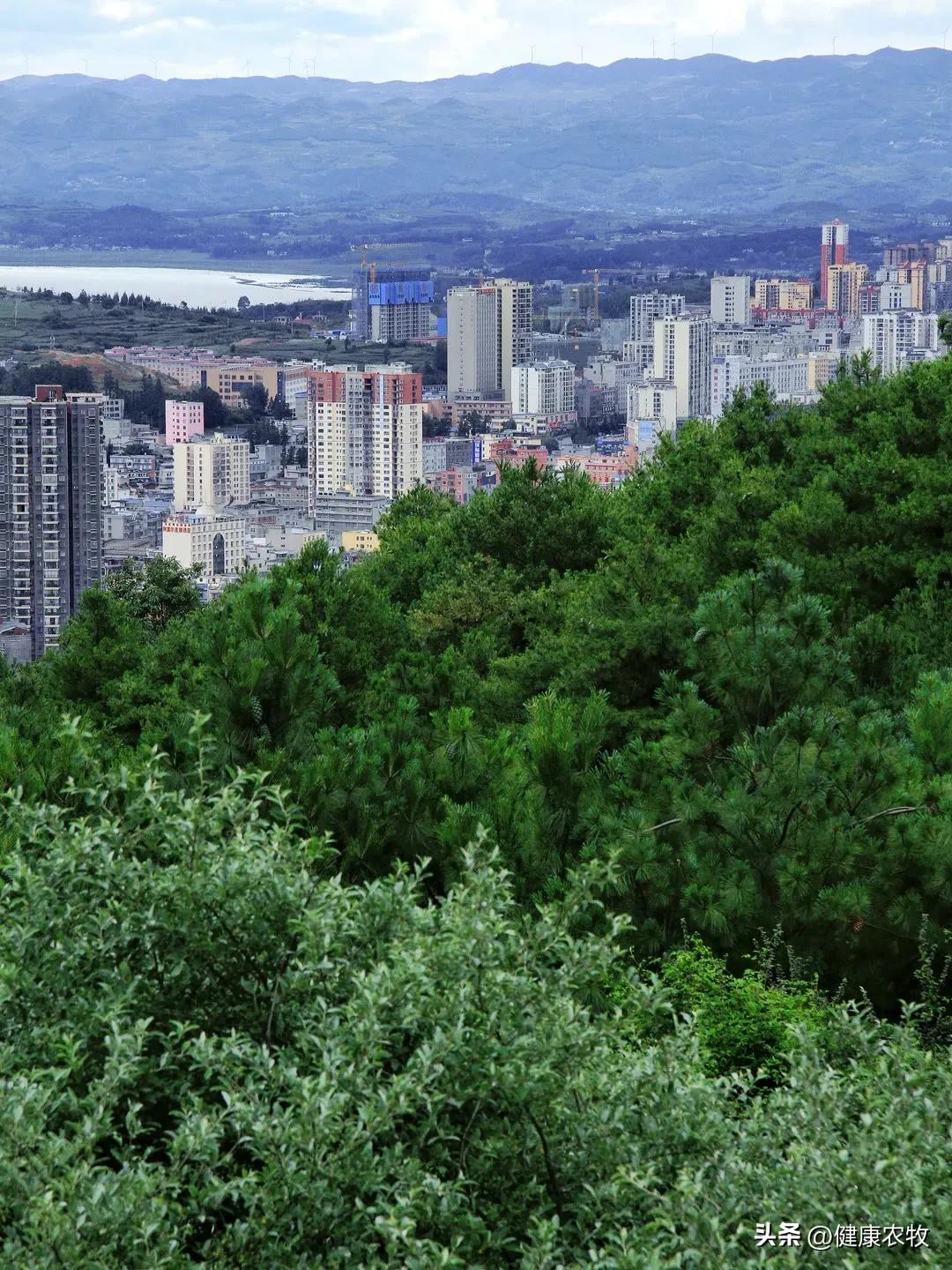 #我的家乡我来记录# 
     威宁，贵州乌蒙高原上一个少数民族自治县，景色优