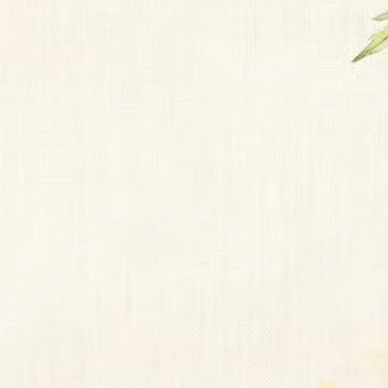 秋天银杏林，小白兔捡起落叶盖住眼睛：“透过这片叶子，我看见了整个秋天。”小黑兔盯