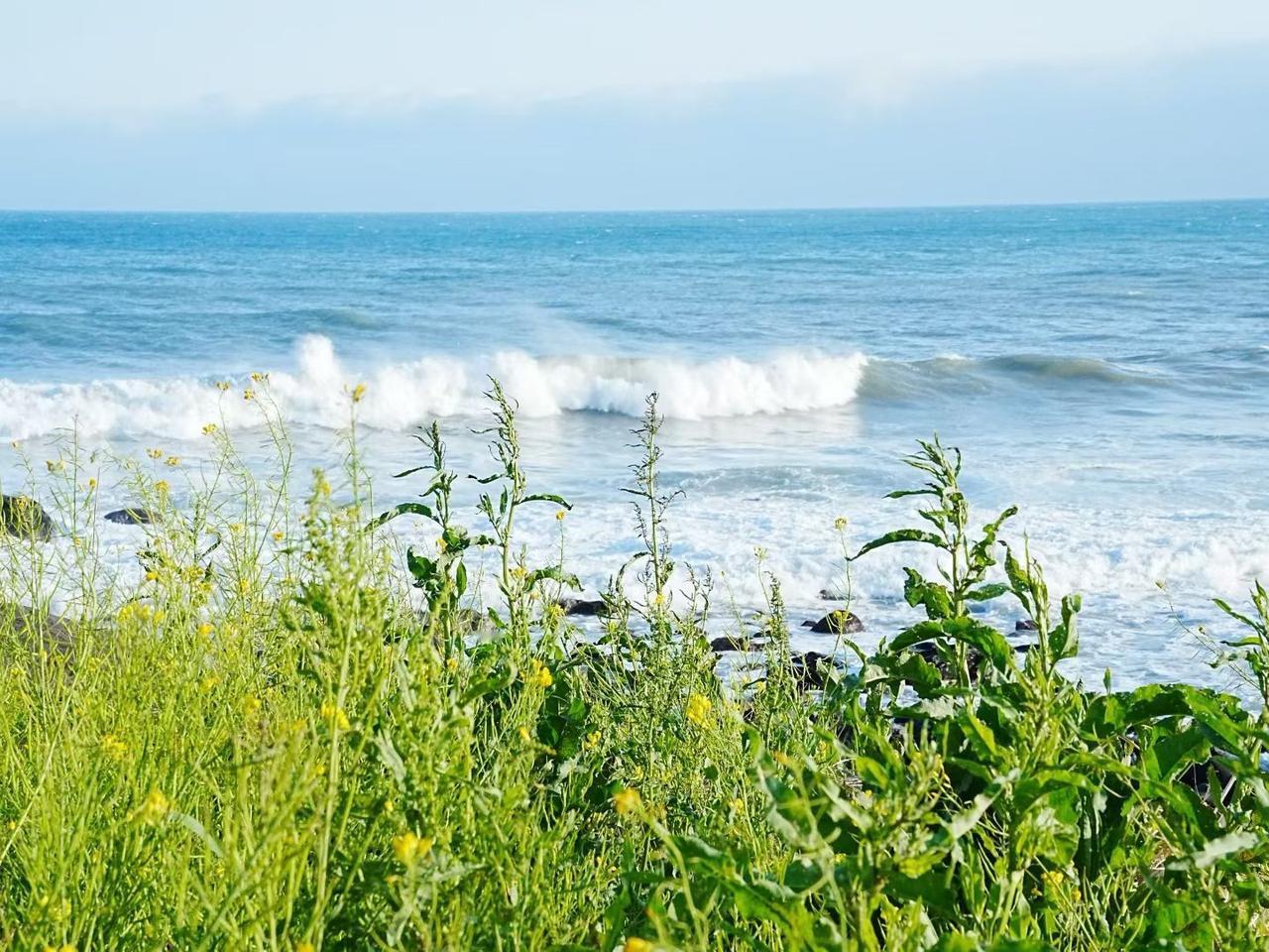谢邀：说说我的最近感受：好久没跟我的小姐姐视频说话，昨晚聊了几十分钟，平时她晚上