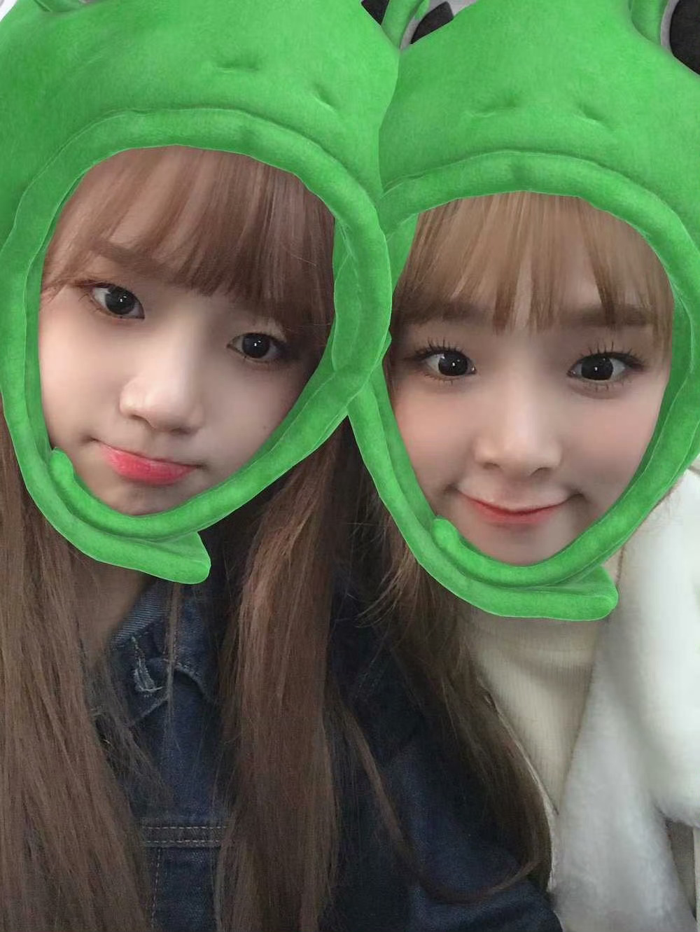 IZONE  🐸曺柔理崔叡娜