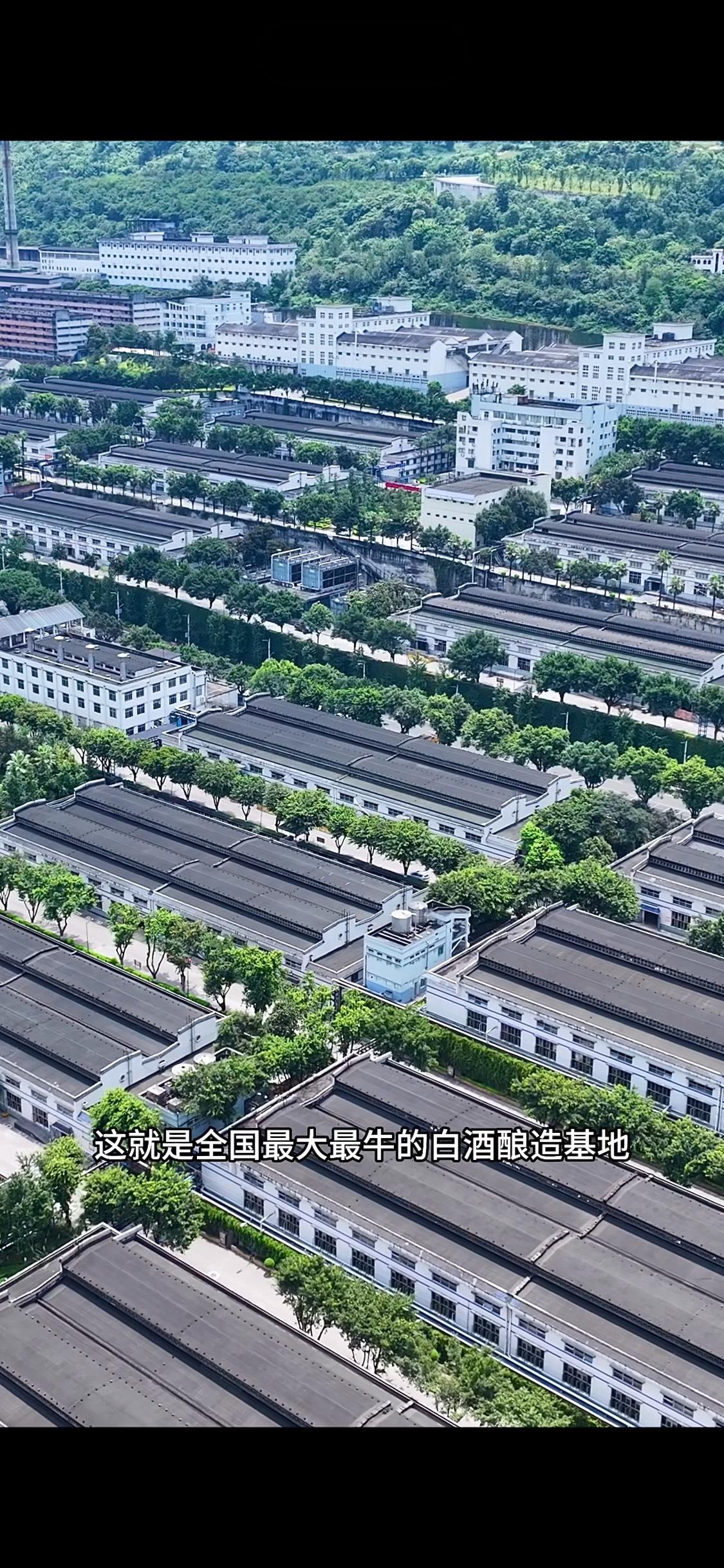 这就是全国最大最牛的白酒酿造基地，总占地面积就高达恐怖的15.03平方公里，共有
