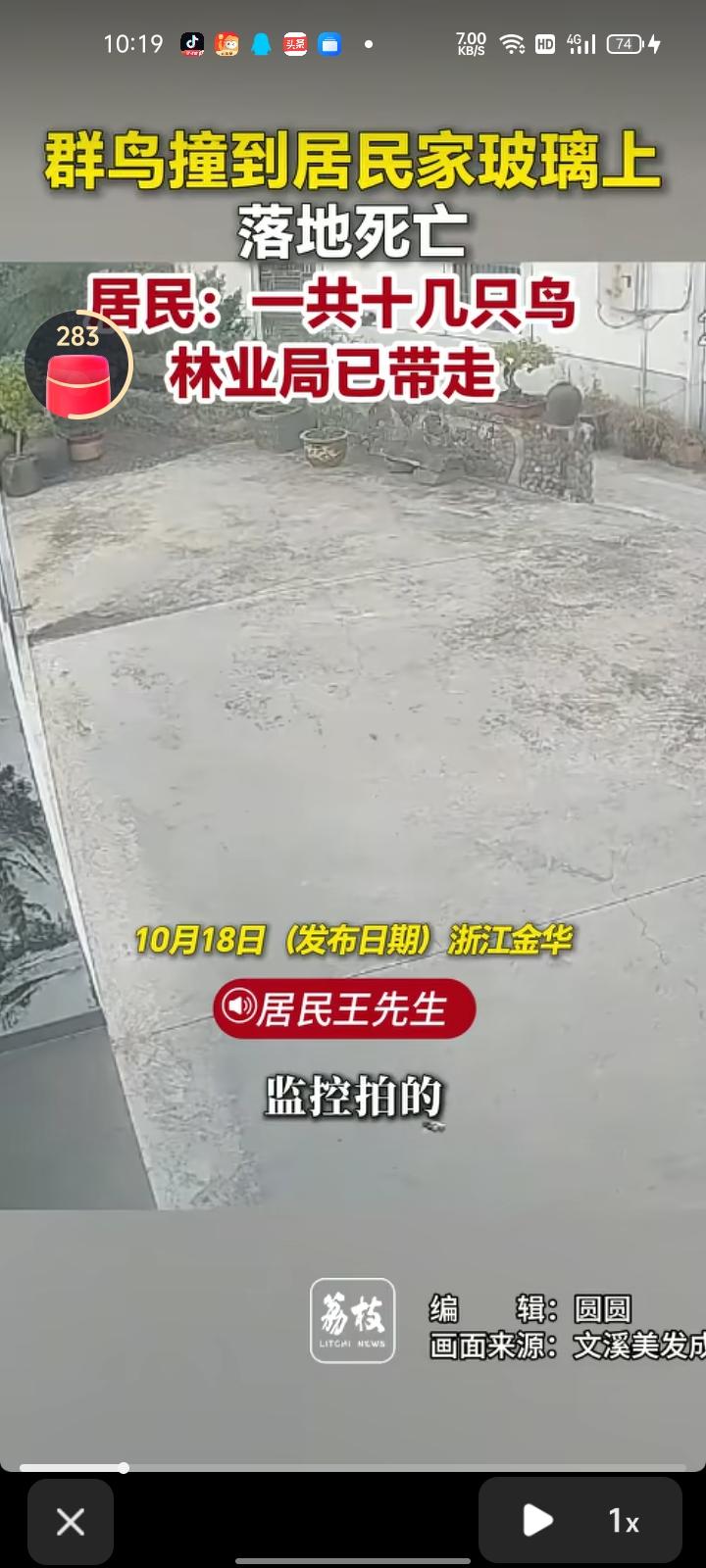 10月18日，金华市浦江县。网友发视频称，监控记录一群鸟不知什么原因撞到玻璃上，
