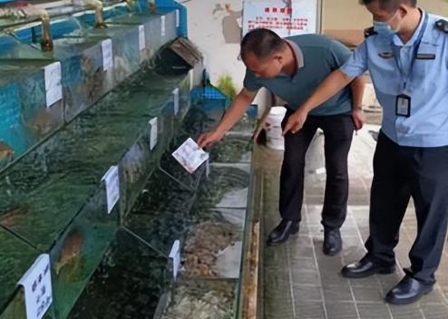 郑州男子买了6斤虾自己吃，没想到竟被市监局罚款11000元。男子一气之下将市监局