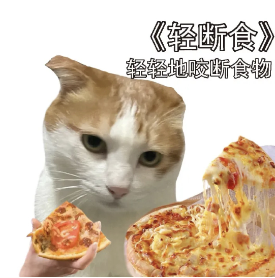 杭州的品宣会结束，各位大博主聚在一起吃饭，就我一个人，从头到尾都在埋头干饭，吃完
