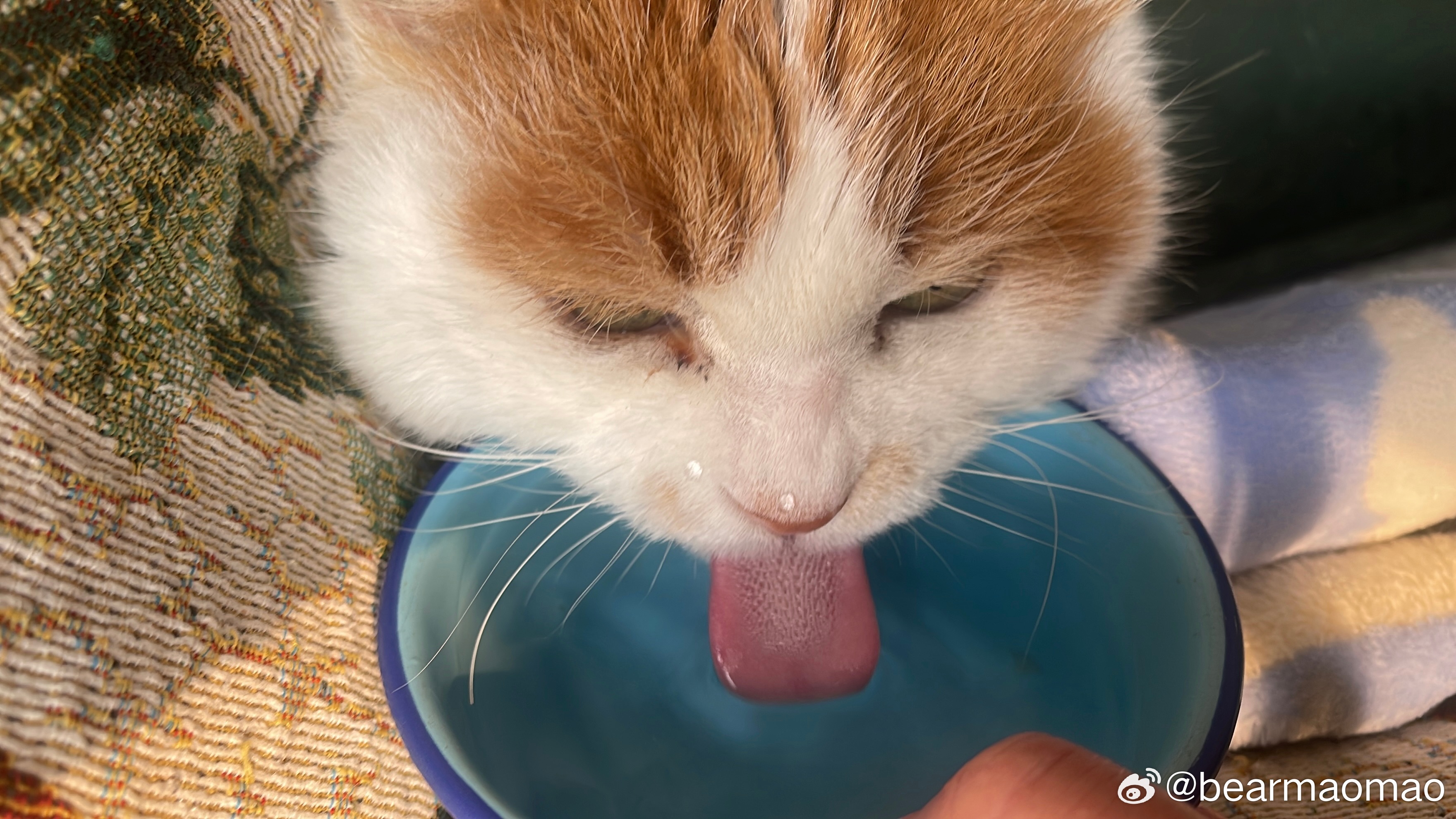 进入3月了呢我们 