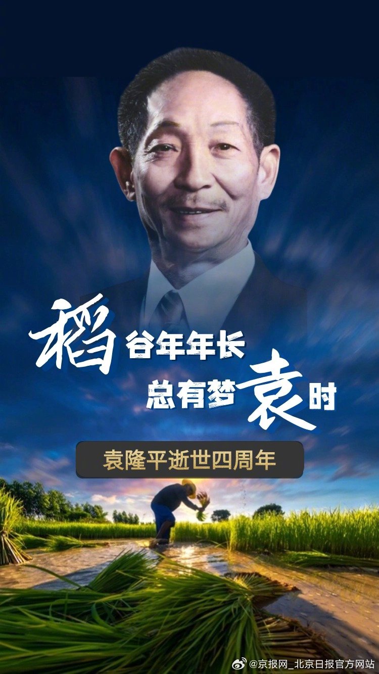【稻谷岁岁年年长 #丰收即是梦袁时#】#袁爷爷离开四年我们从未停止想念#  20