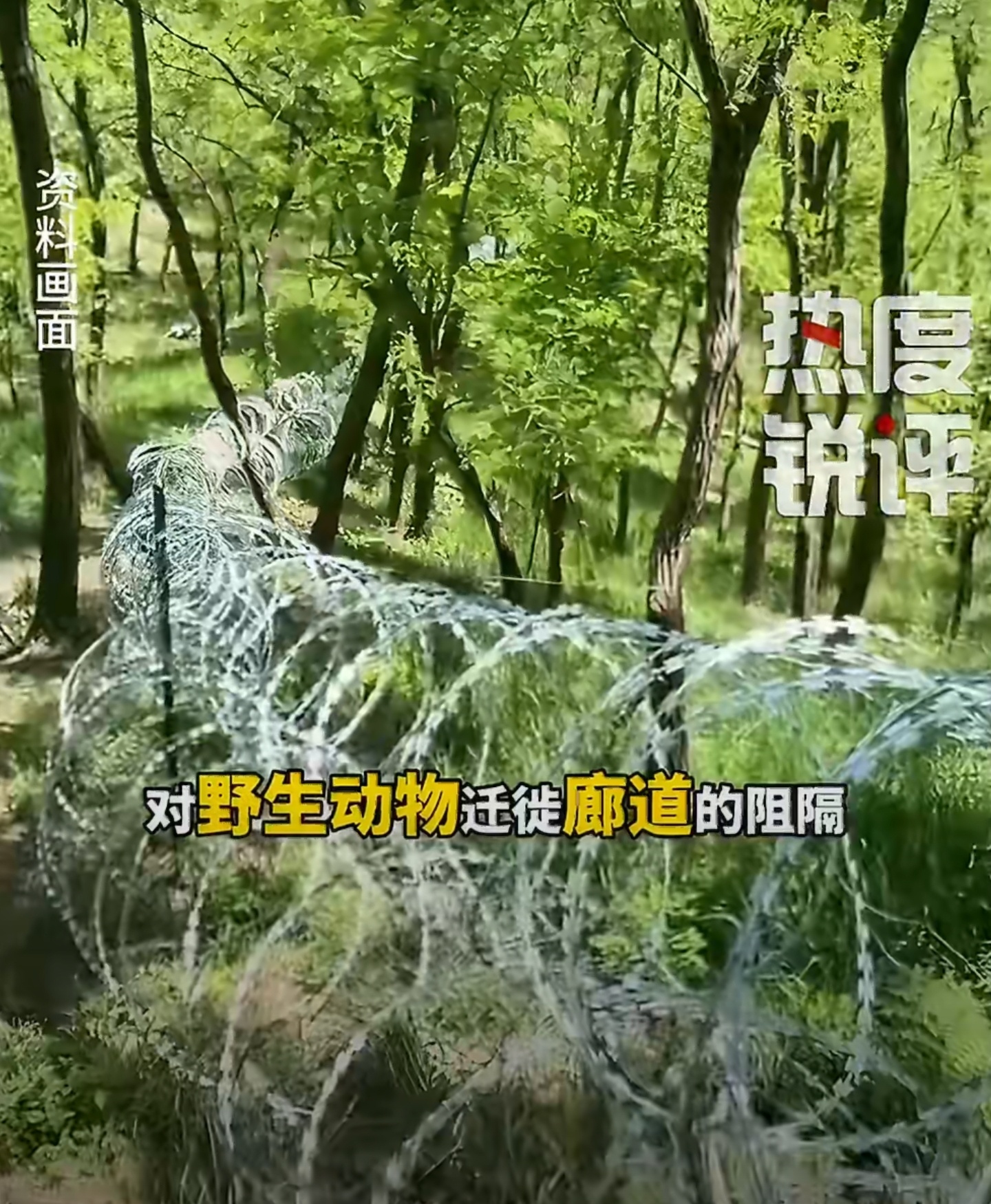 泰山围山刺绳挡住野生动物防护初衷可以理解，但刀片网既破坏山林景观、阻隔野生动物迁