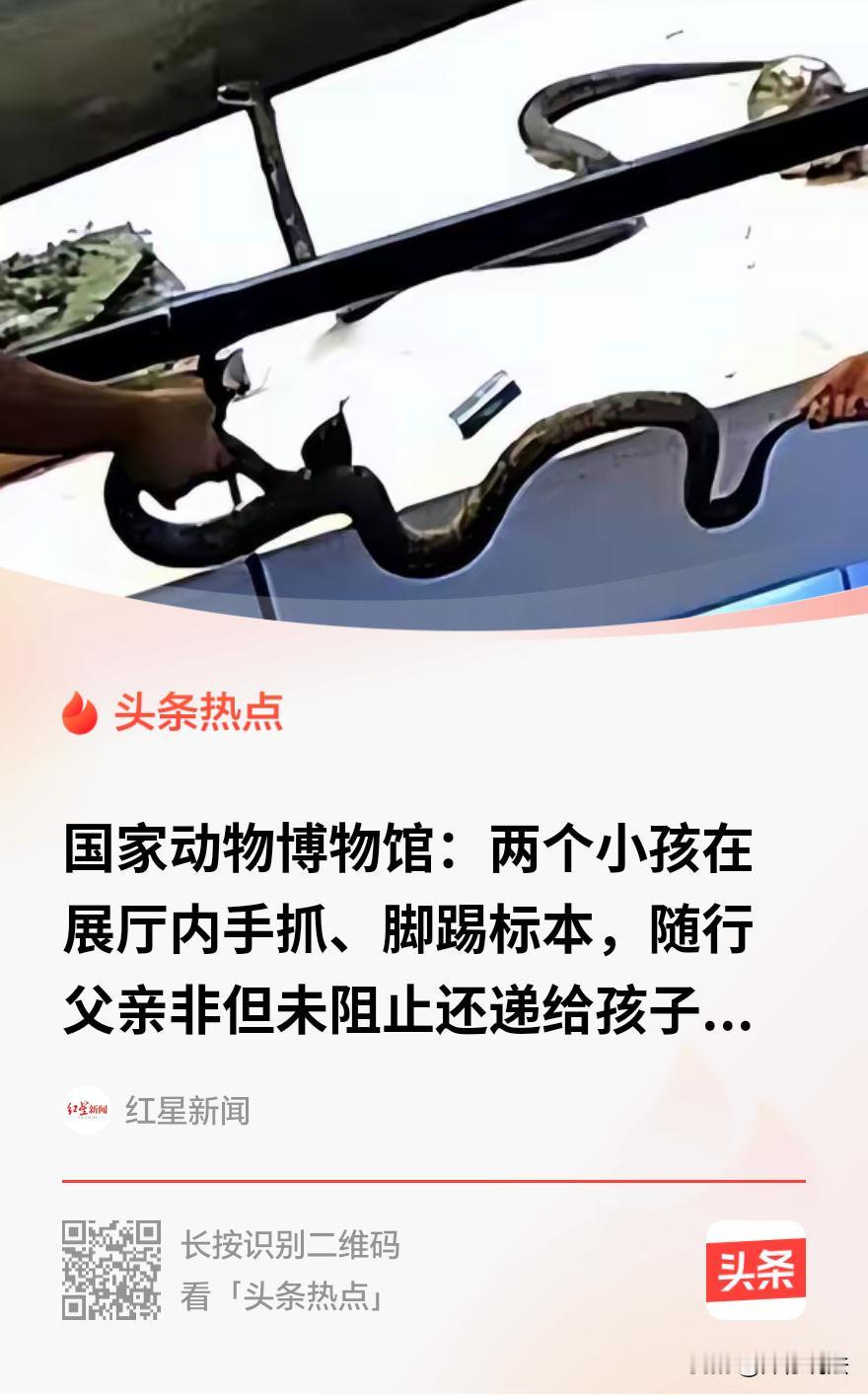 “这孩子不懂事，大人也跟着犯浑？”北京，一男子带两个孩子去国家动物园博物馆观赏。