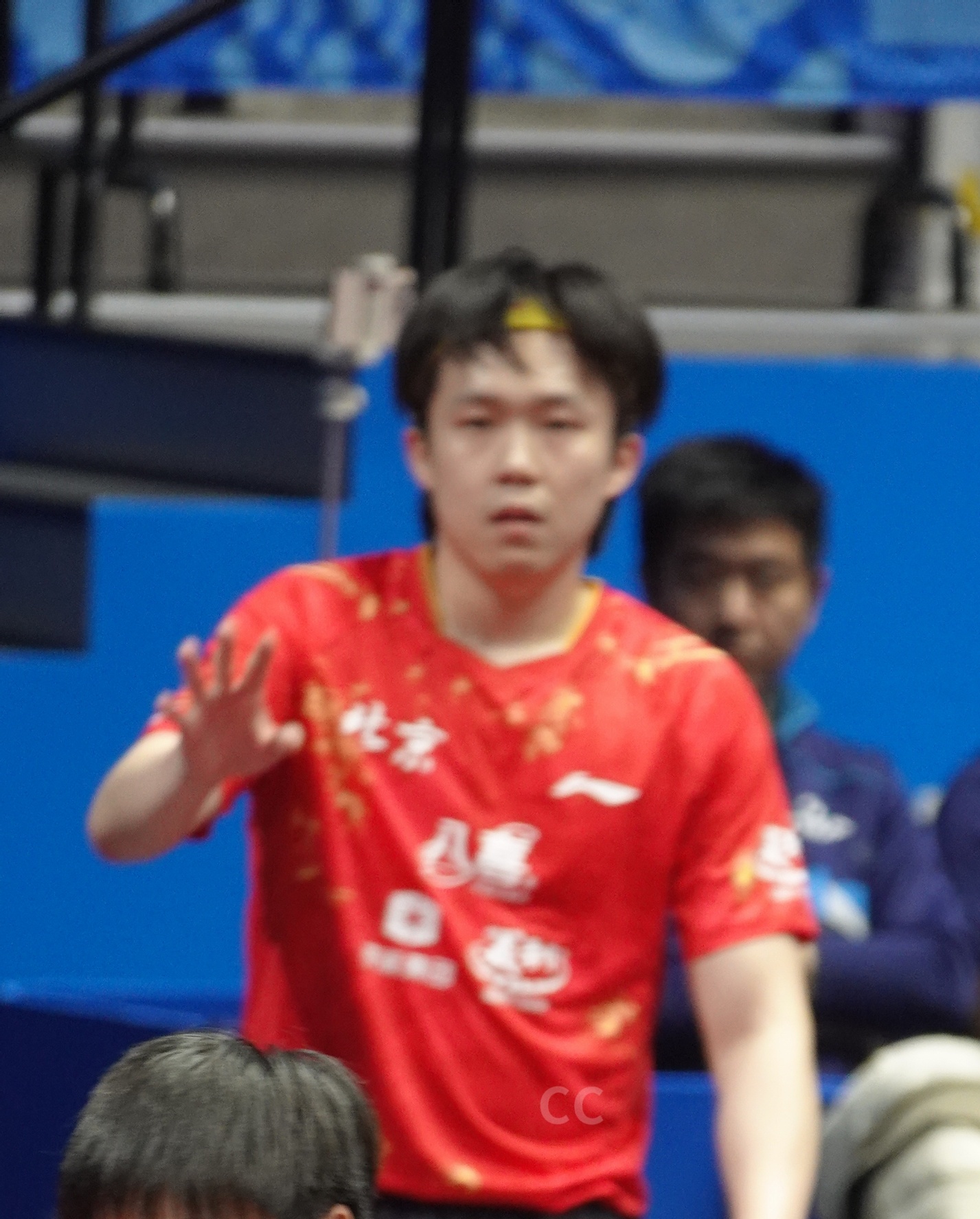 「小耶寻球记」有谁看到小耶的球球了吗🧐🥺 