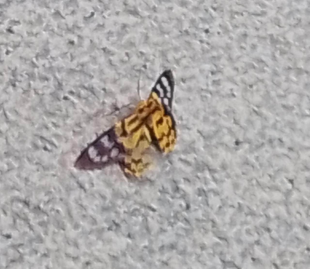 之前我写的微头条，说有老人家被困在高层里面，无水无电没信号，联系不上家人，这件事