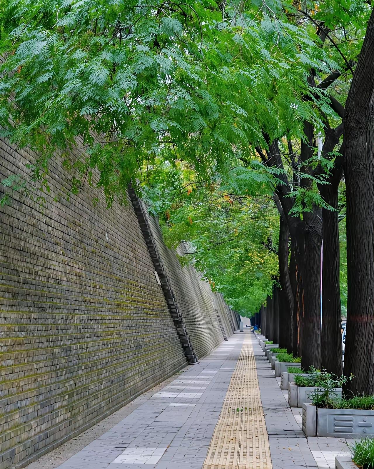 谁能一眼认出这是哪座城市？