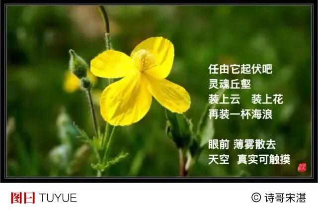 暑热  微风吹拂
一小缕一小缕
用心感受
．
清清爽爽
时间  该定时抚慰
多少