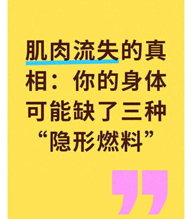 肌肉流失的真相：你的身体可能缺了三种“隐形燃料”