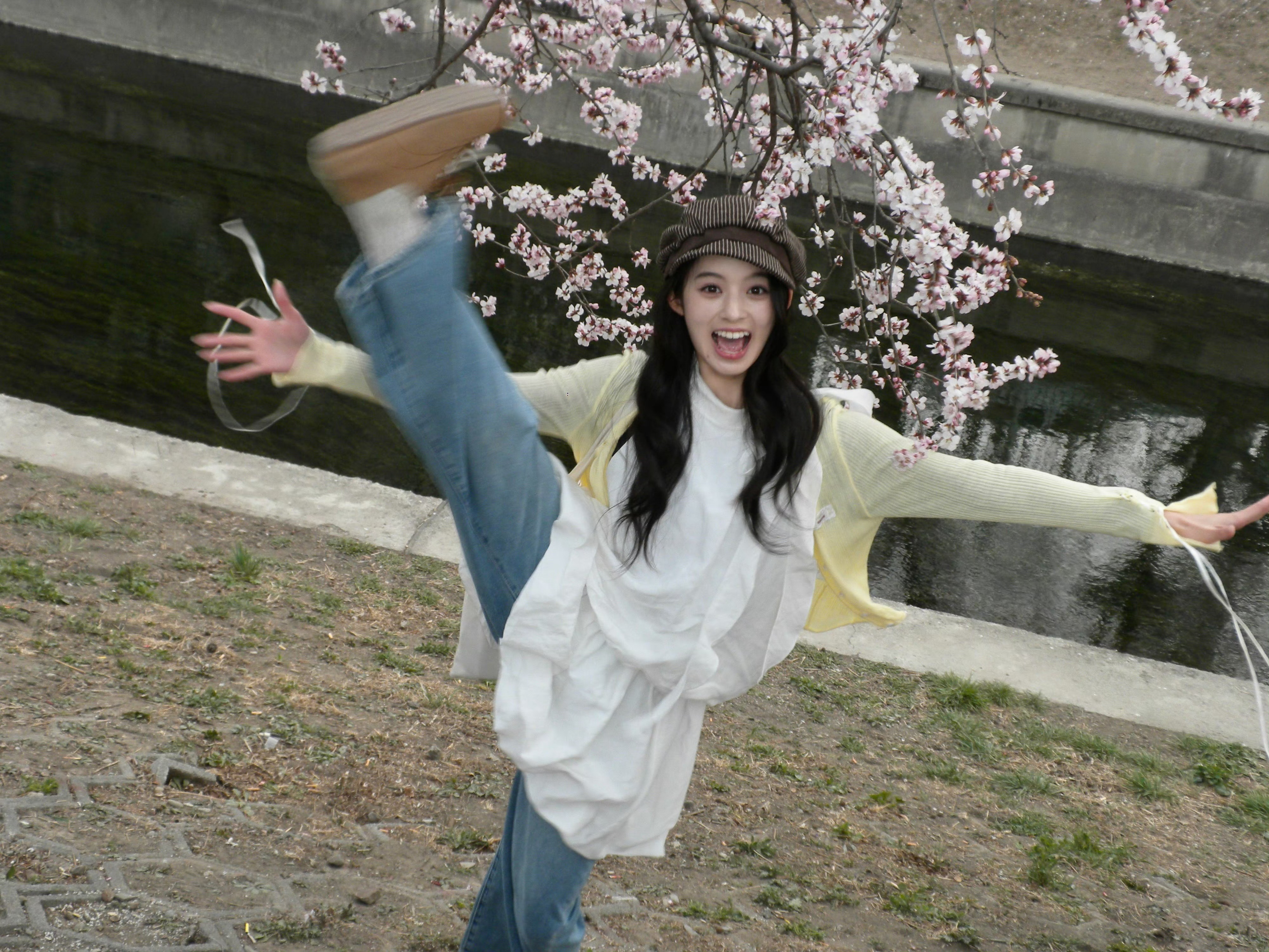 小女子可曾认识一个叫楚乔的人 这武功是她教的吗 