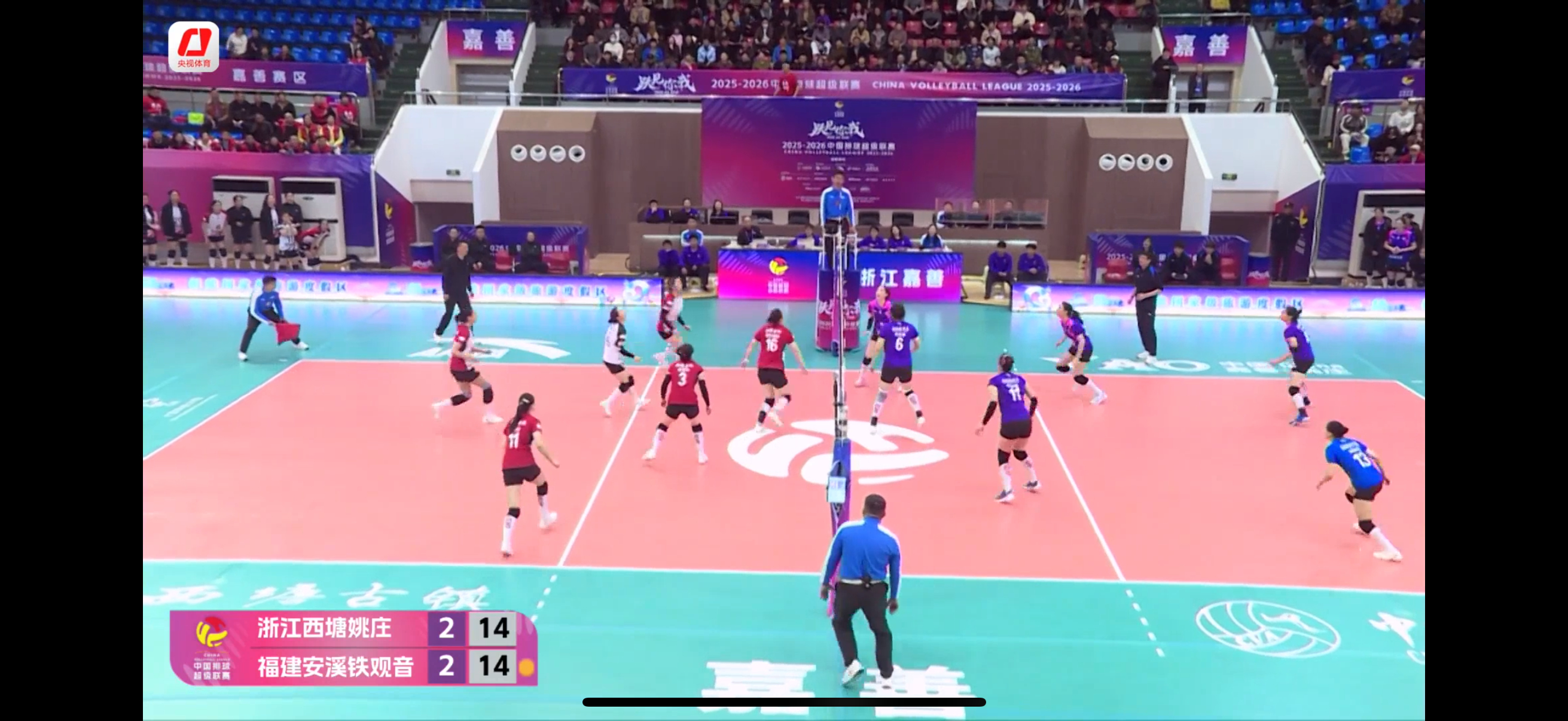 2025-2026中国女排超级联赛 七八名排位赛首回合：浙江女排3-2险胜福建女