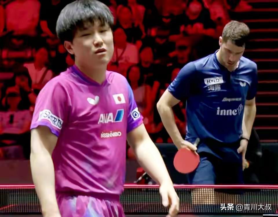 打完新加坡大满贯，张本智和崩溃了！
自己成了损失最大的人！

首先意外输给了弗朗