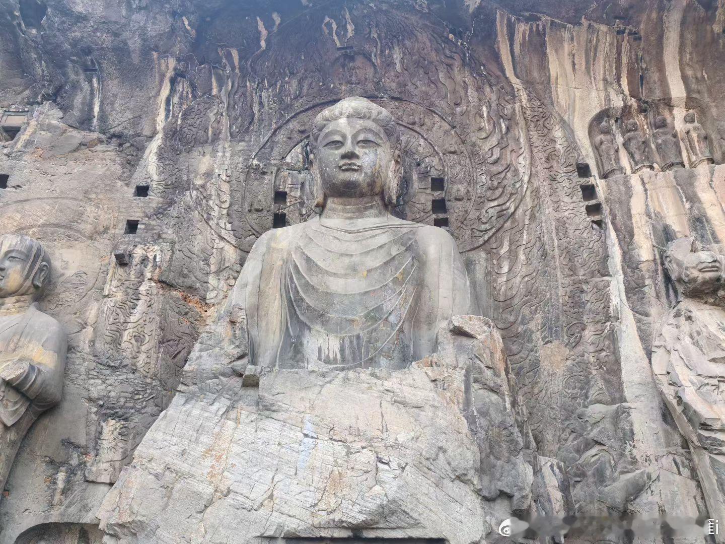 明天开盘各位猜是高开or低开？现货黄金金价黄金