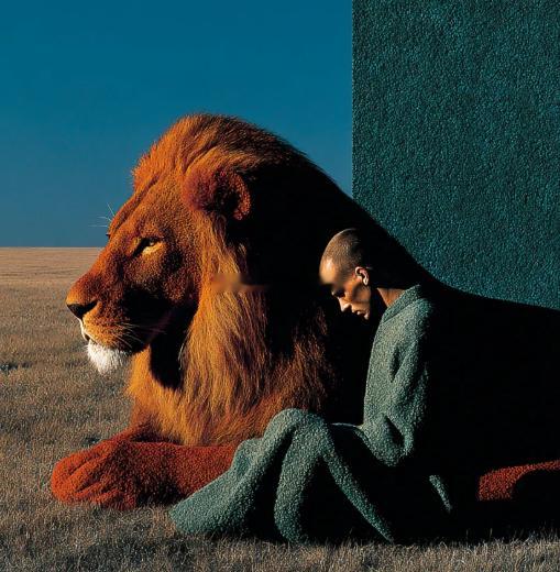 各位早上好！听说最近总有粉丝朋友把我的分析当成下午茶指南，能不能吃到全由我的方向