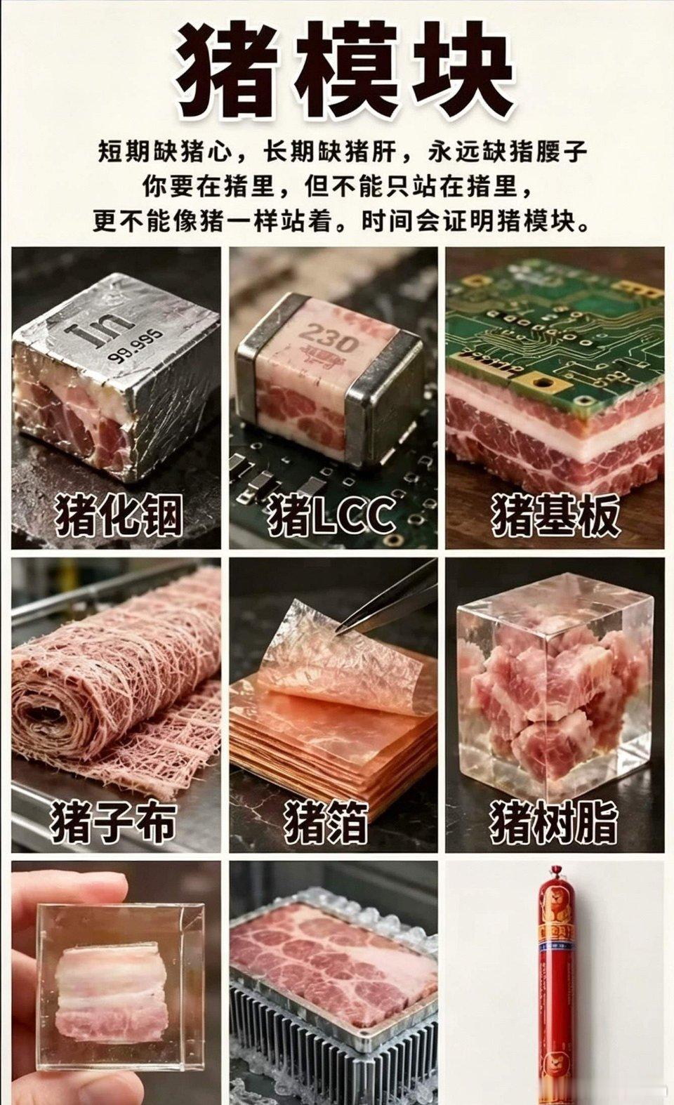 算力圈梗谈：全网爆火的“猪模块”自嘲猪化铟、猪LCC、猪基板、猪子布、猪箔、猪树