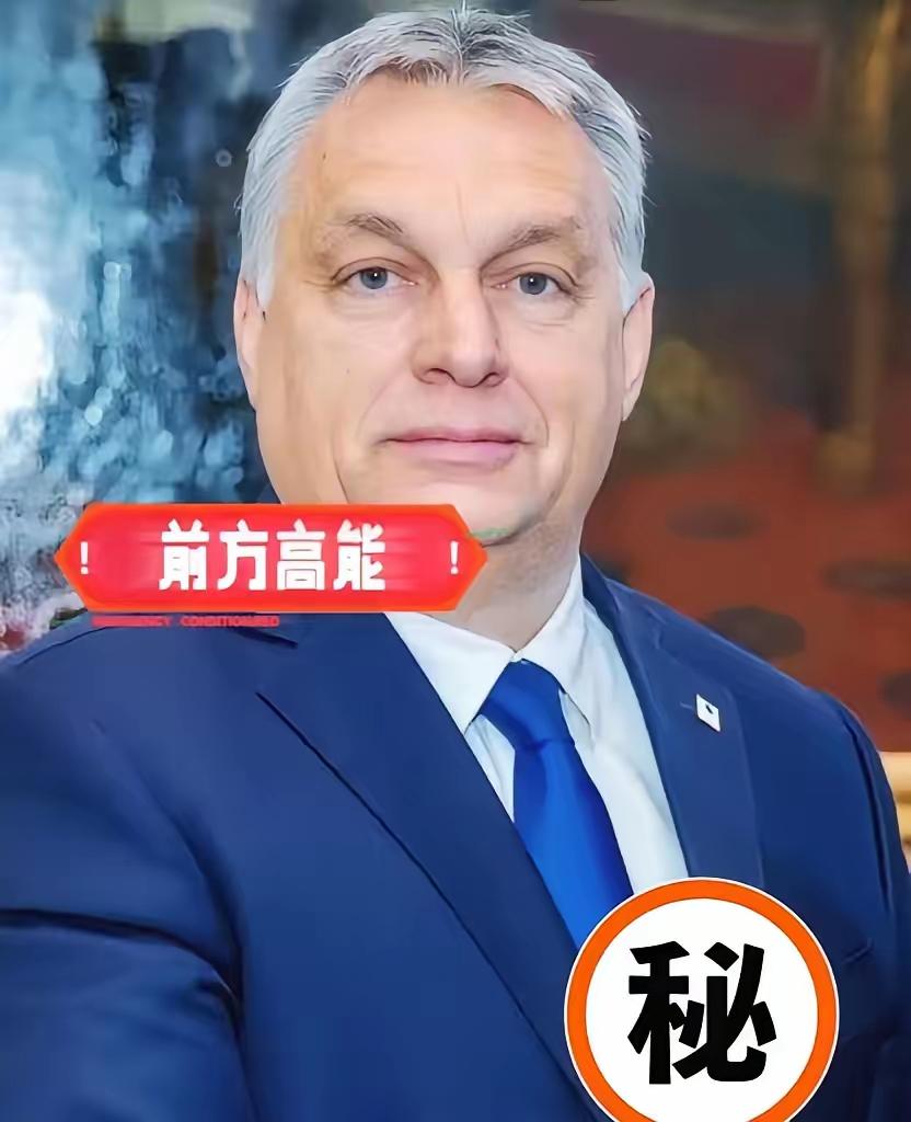 欧尔班直接撕下了西欧的遮羞布！
他点名德国福利快撑不住了。法国电费疯涨。欧盟跟美