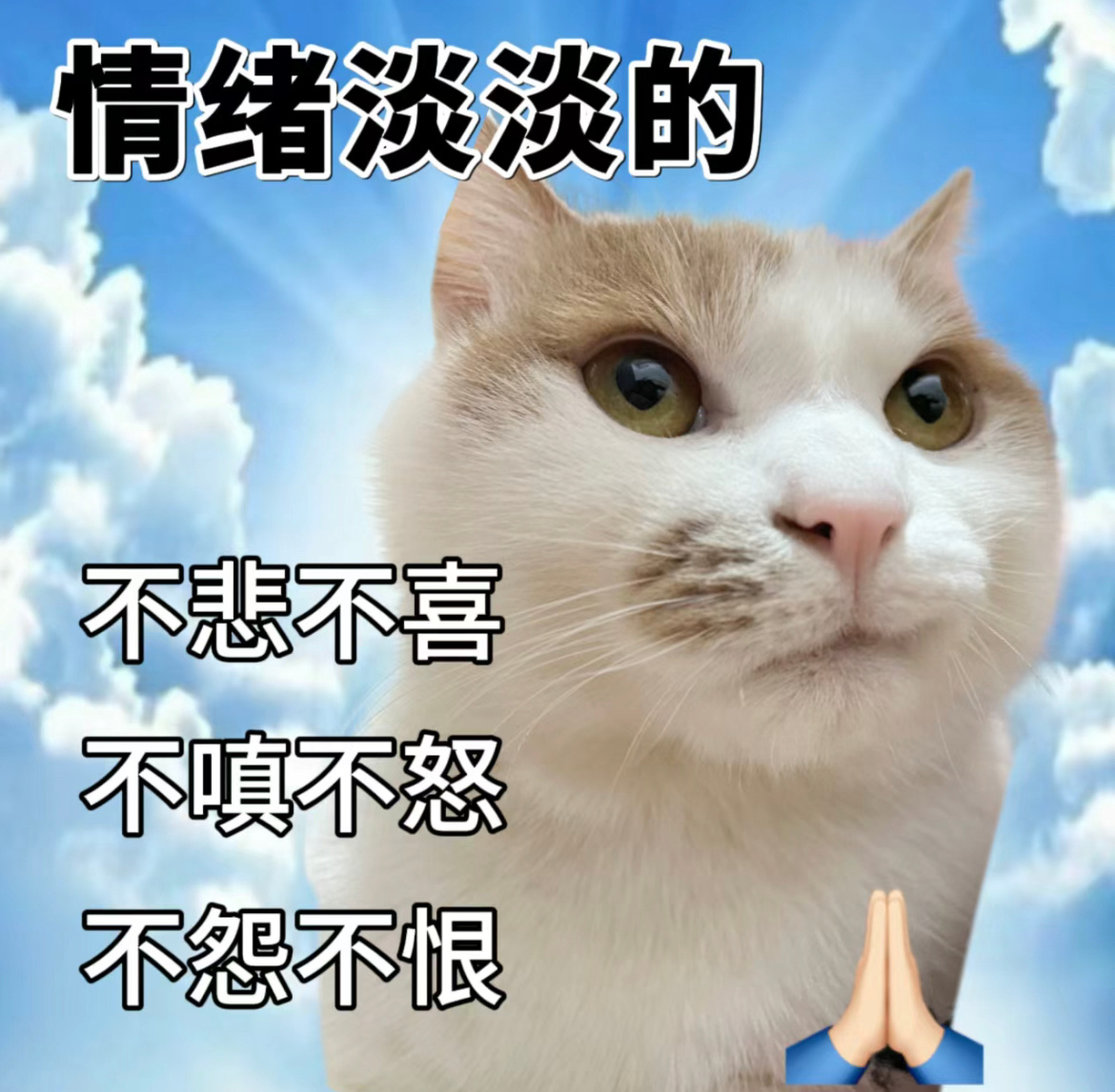 正式确诊为峡谷“淡人”#王者荣耀# #游戏233# ​​​
