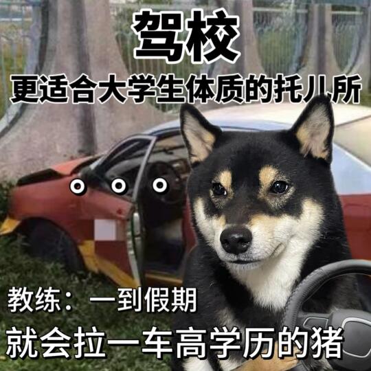 表情包|大学生假期现状🙃
