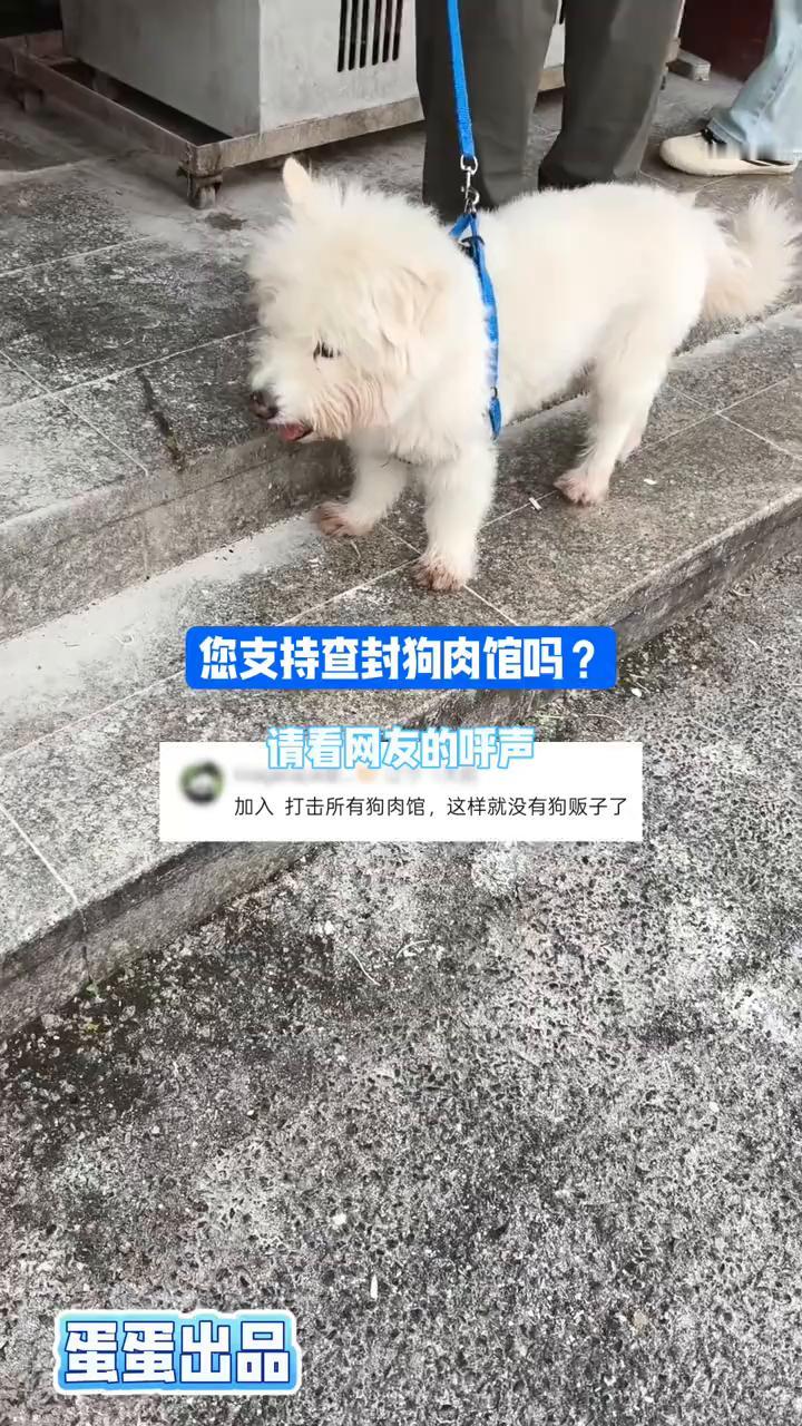 您支持查封狗肉馆吗？请看网友的呼声。
网友：加入，打击所有狗肉馆，这样就没有狗贩