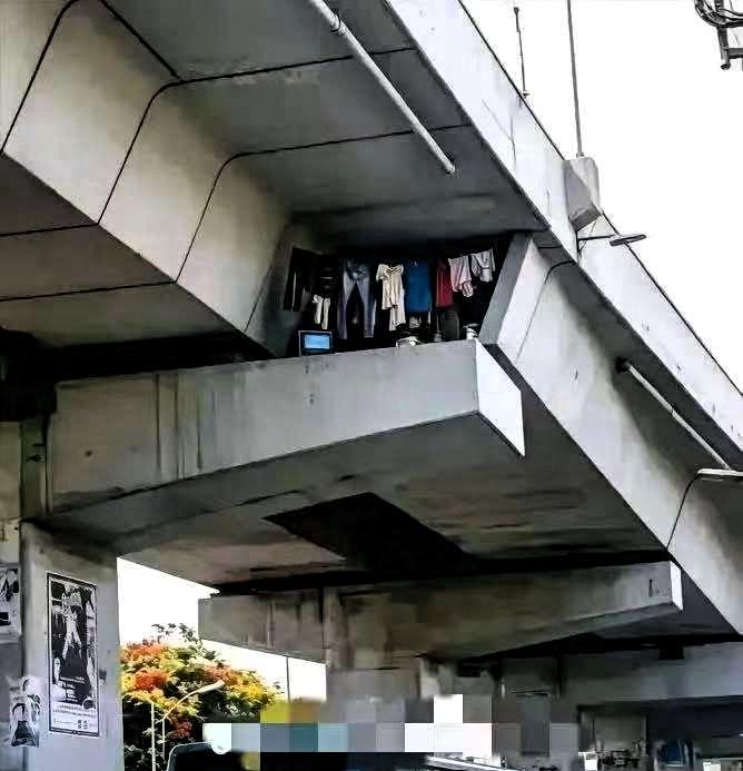几百平免费桥洞住满了，没住上的都眼红

2026年5月24日，网上一段几百平方米
