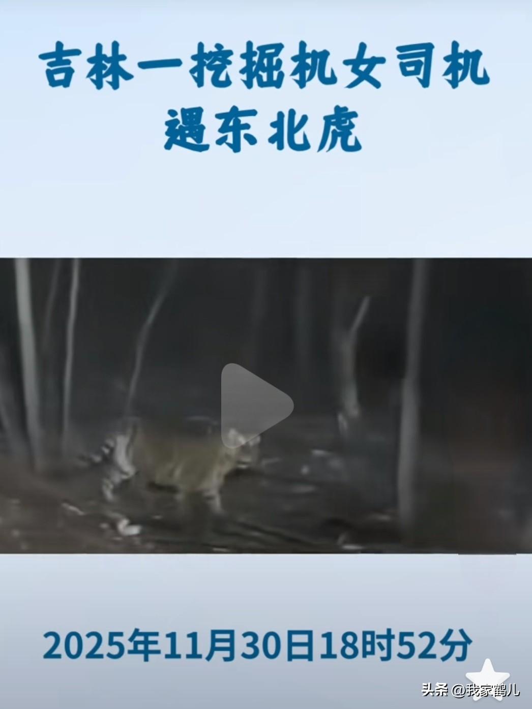 发生在2025年11月30日18时52分，地点在吉林延边汪清县复兴镇附近的林间道