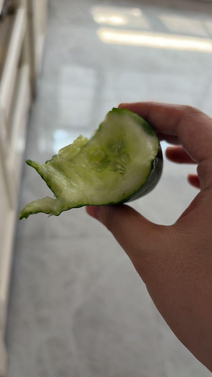 21天健康打卡计划幸福浪 在家饿得吃黄瓜 