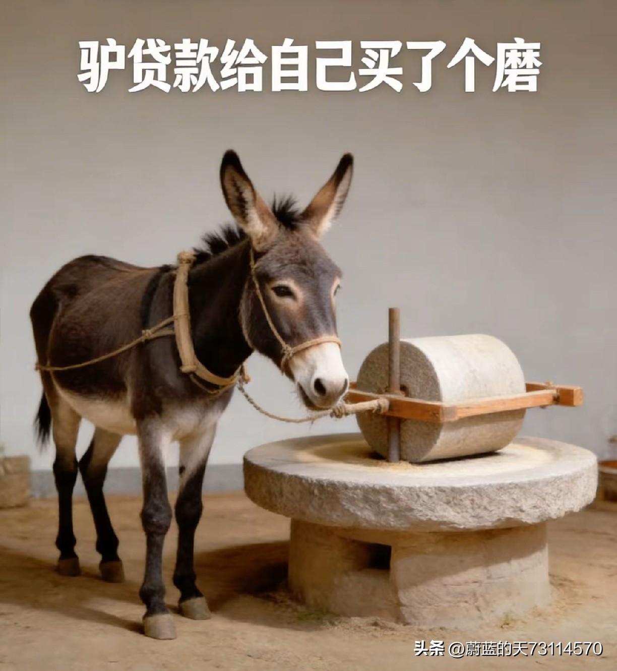 开春了，驴打算干点事儿，便贷款给自己买了个磨。人们颇为不解，好奇地询问它：买磨干