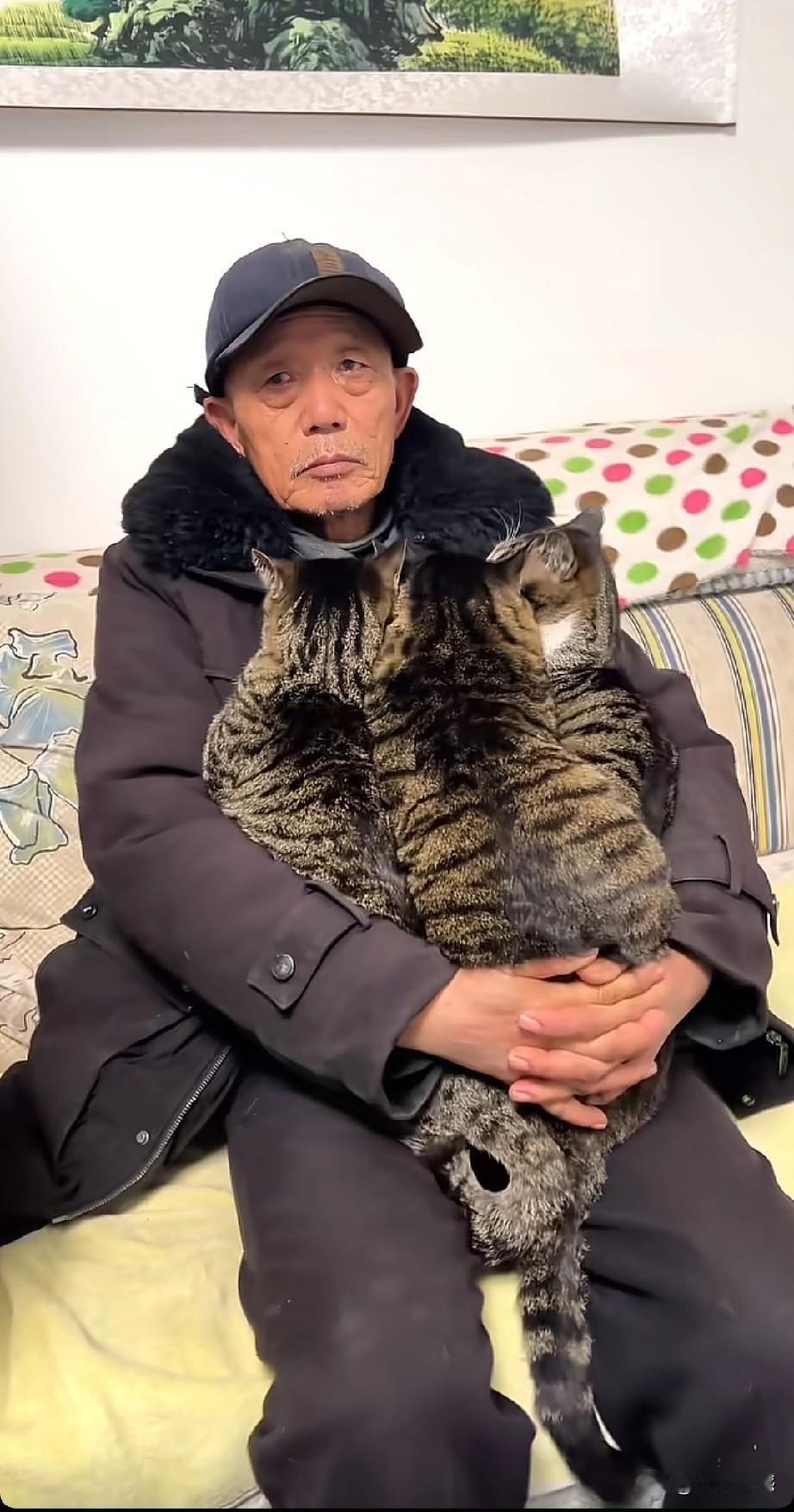 这个老大哥真是太喜欢猫了，看他怀里抱的这几只猫，养的非常好，毛管特别的亮，这说明