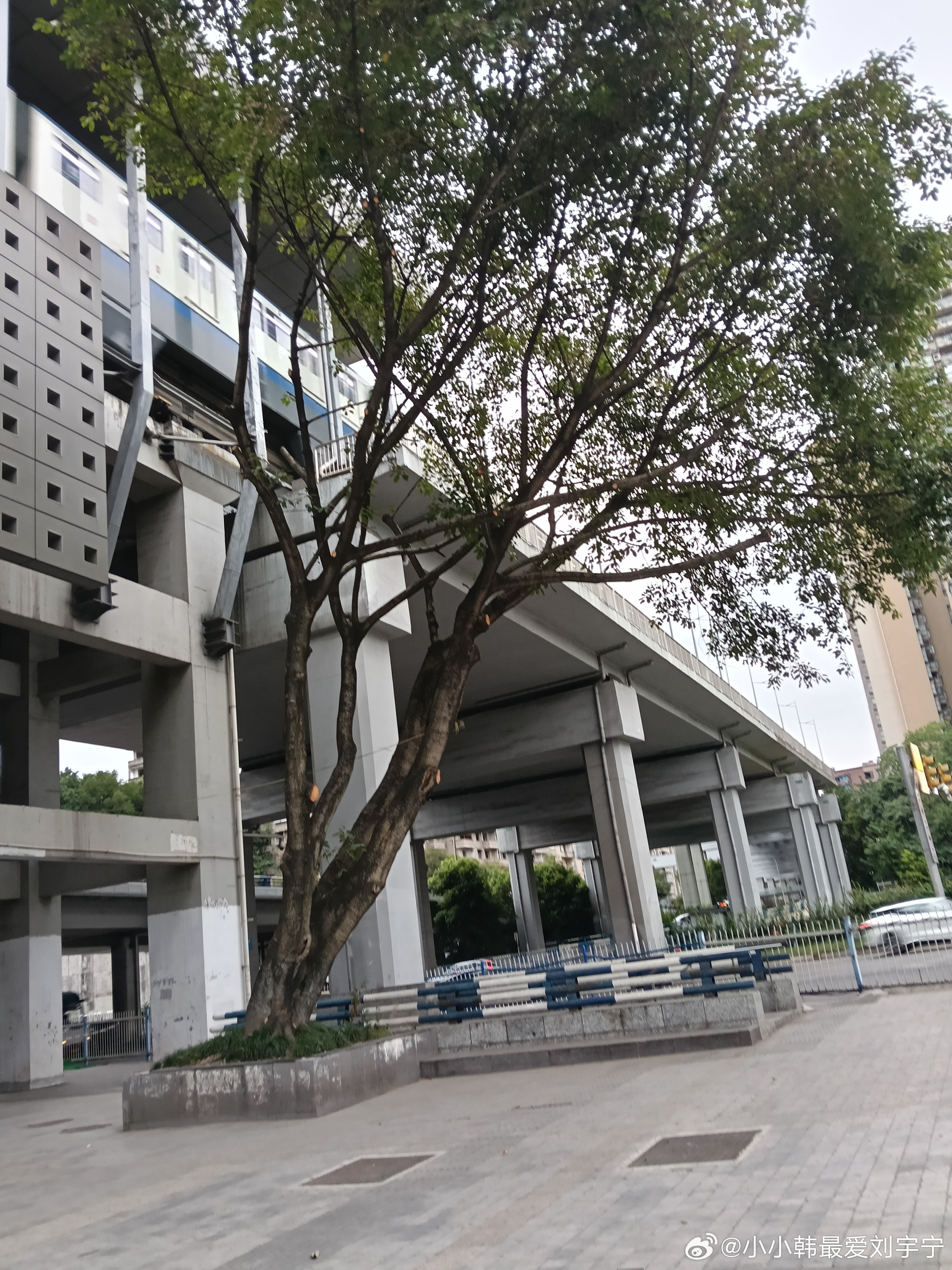 重庆的早上终于凉快了 ​​​