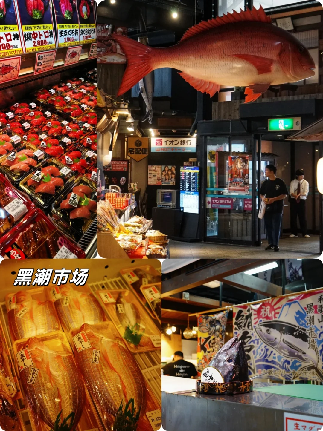 拒绝人从众/关西秘境和歌山7天躺平式出游