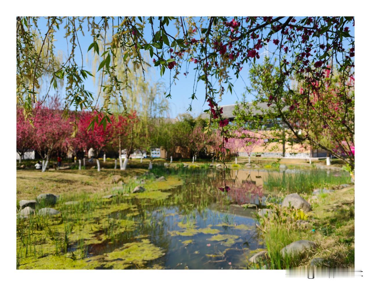 从文学角度看，老舍的作品甩贾平凹作品几万里。老舍的作品如《四世同堂》《龙须沟》《