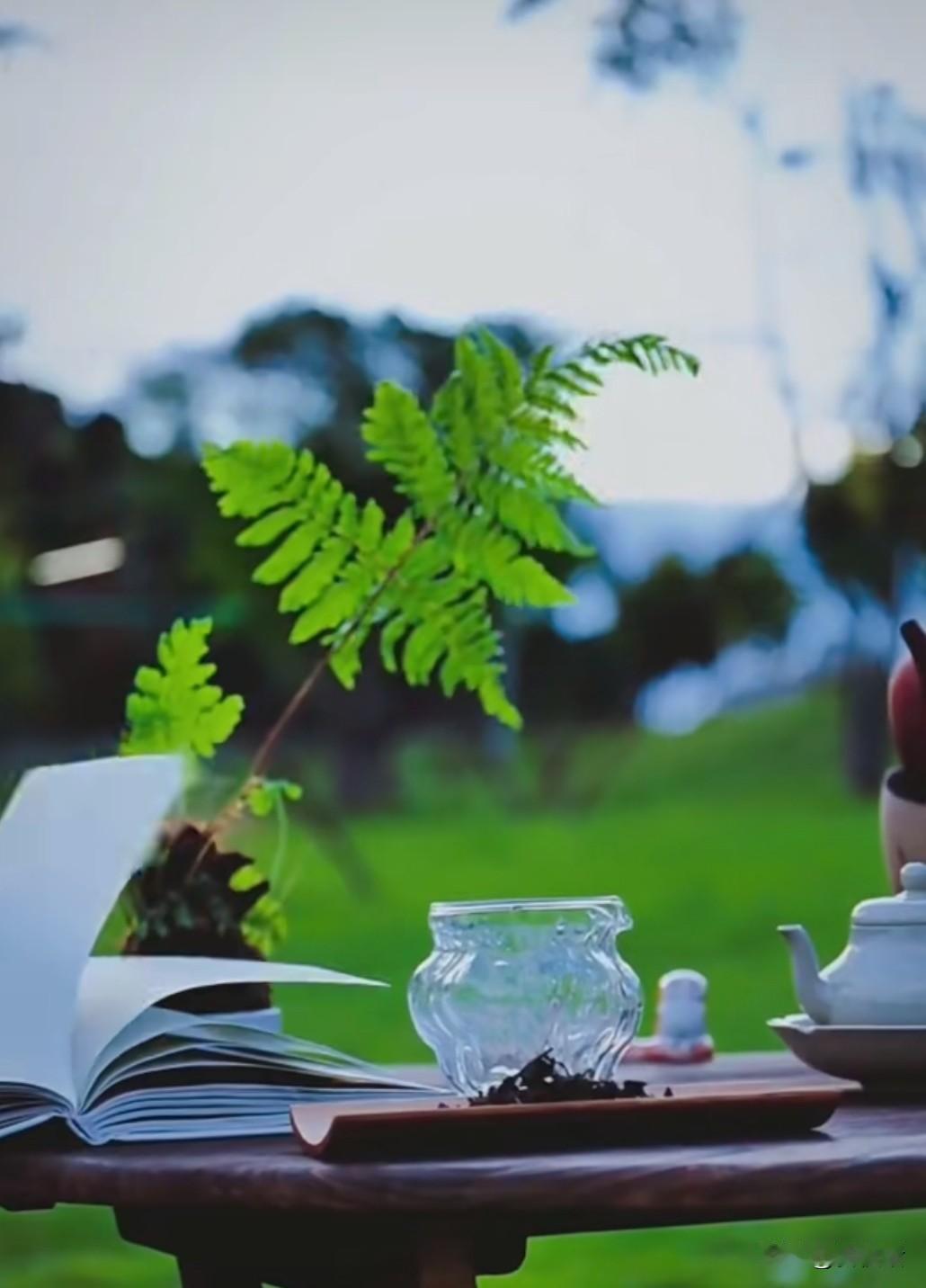 记者新夜话丨但愿老年懂得：我们该让自己向着自己生长了！
整个人生有个最后章节叫老