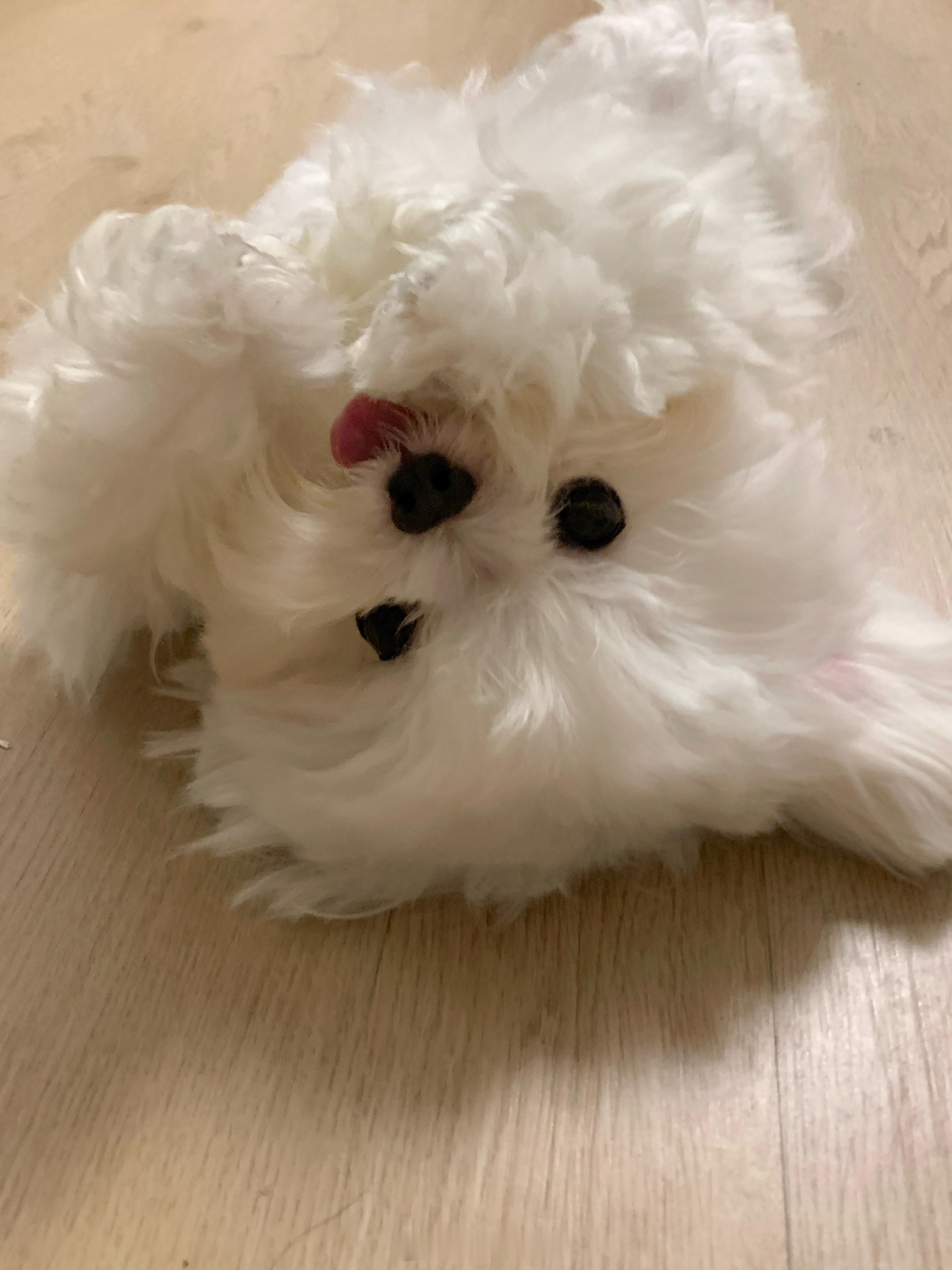 ✌︎︎• ◡•𝕪𝕖𝕖𝕖 ​​​