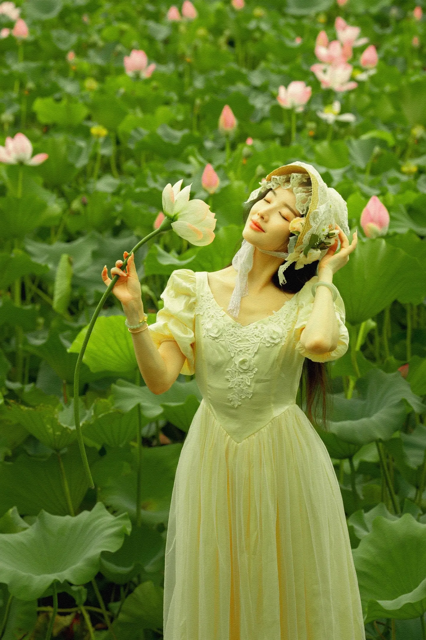 满池荷花香🪷