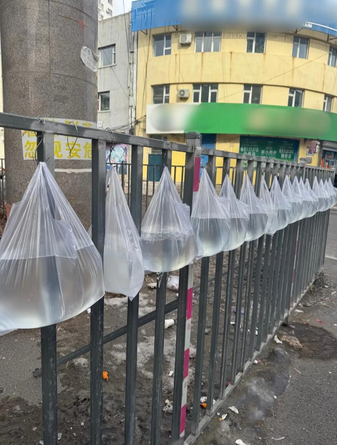 不懂就问，东北当地人在外边冻这些装水的熟料袋子干吗呢？