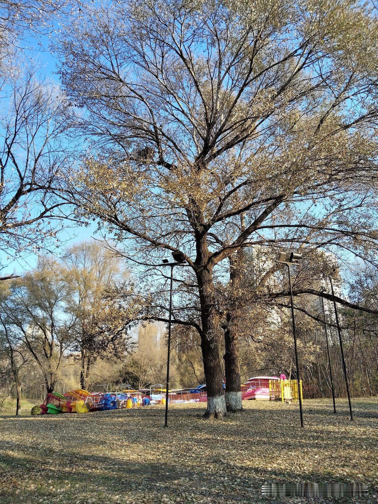 真不甘心 ，就这样放弃写头条。
从内心讲最近写头条就凭“坚持”两个字。
无论是阅