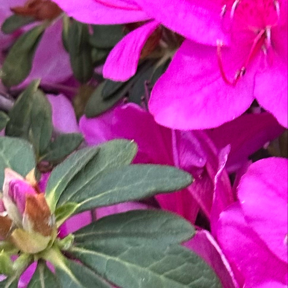 阳光信用  阳光信用 互动打卡 感谢意味着心灵丰富。知道感谢的人是充满喜悦的，幸