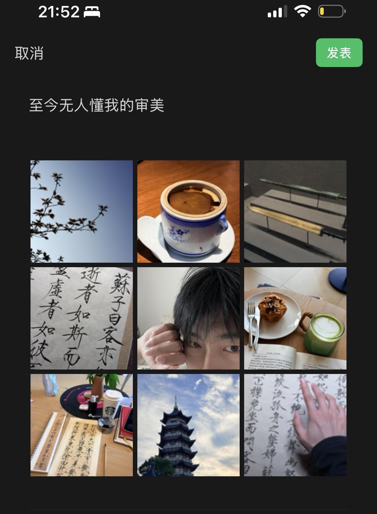 至今无人懂我的审美.